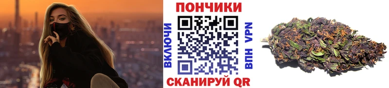 Каннабис план  Хасавюрт 